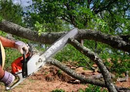 Lawn Drainage Solutions in Bemiss, GA
